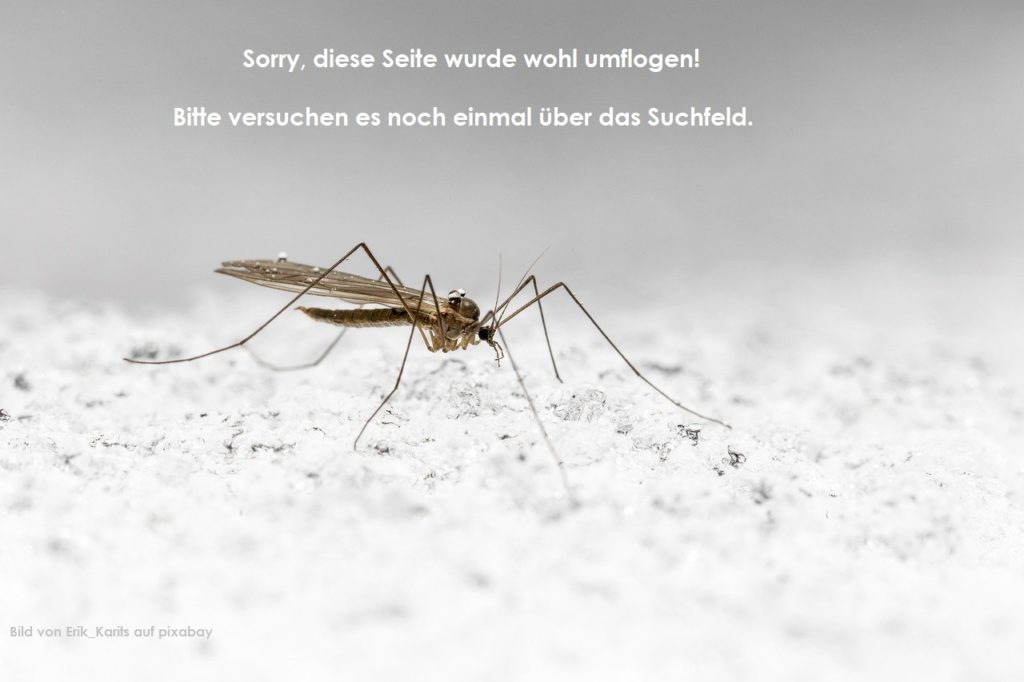Sorry LEISHMANIOSE BEIM HUND